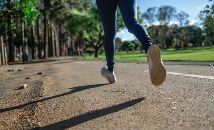 Cardiotraining und die Fettverbrennung - Cardiotraining und die Fettverbrennung -