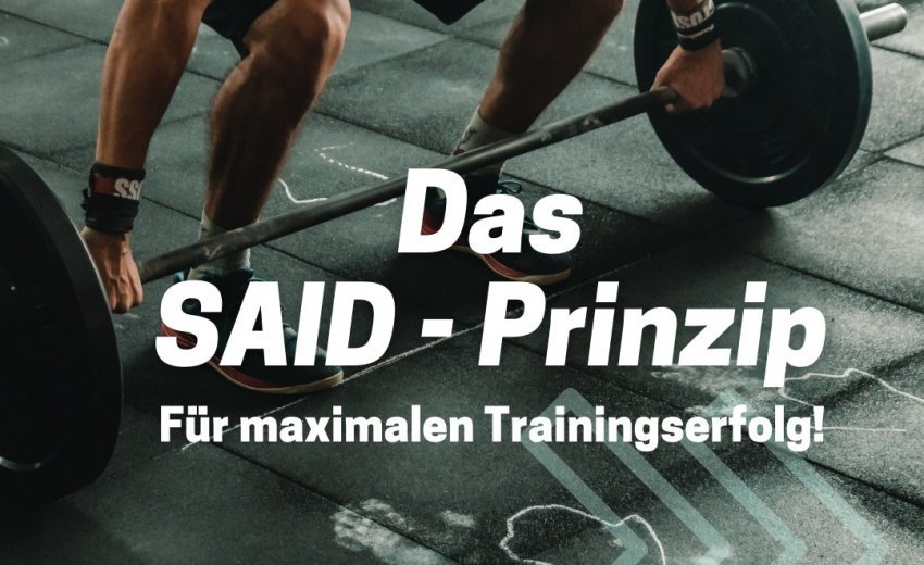Das SAID-Prinzip Das SAID-Prinzip