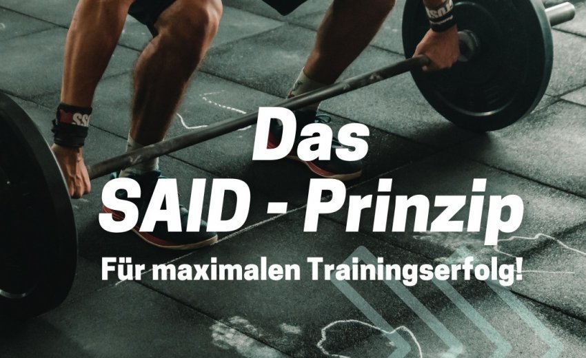 Das SAID-Prinzip 