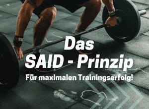 Das SAID-Prinzip 
